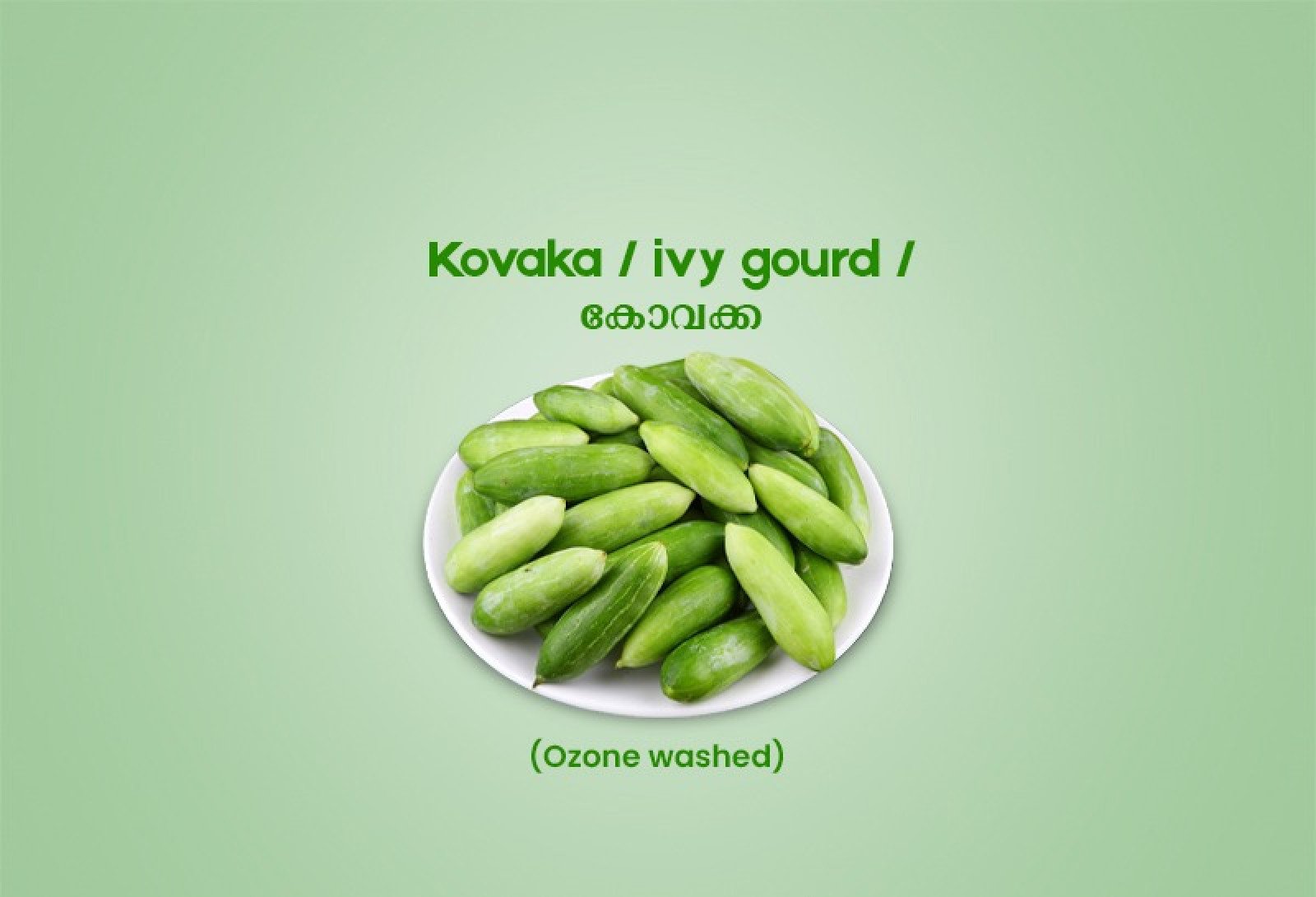 Kovaka / ivy gourd /കോവക്ക - 250g Pack ( Ozone Washed)
